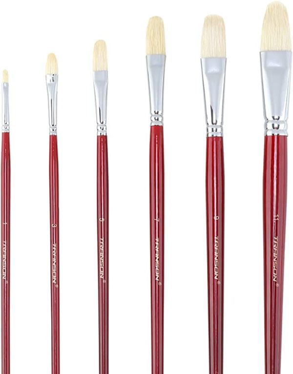 6pc Transon Hog Bristle Filbert Brush Set for Painting
