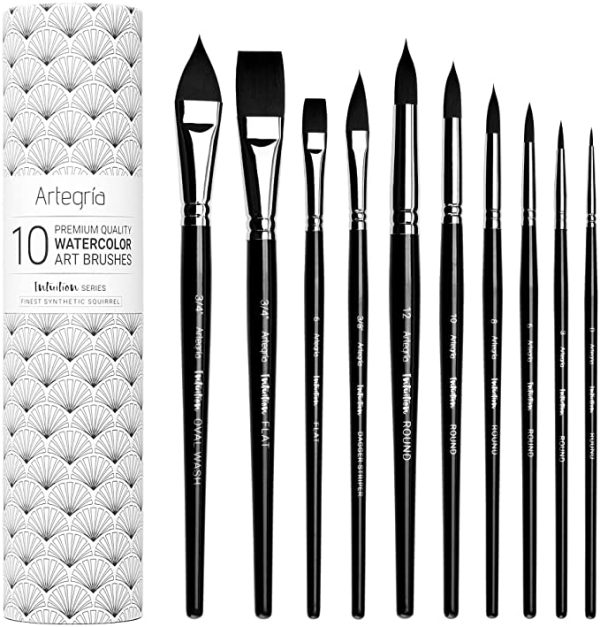 ARTEGRIA Watercolor Brush Set - 10 Professional Brushes, Soft Hair