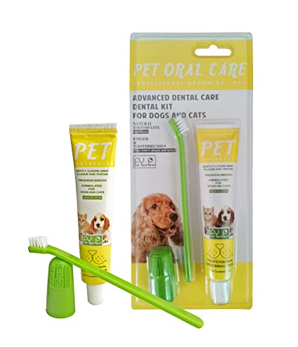 Dog Toothpaste: Beef Flavor, Eliminates Bad Breath, 6 oz