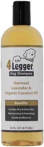 Organic Lavender Oil Benefits for Canine Aromatherapy