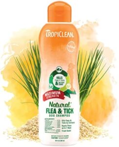 Organic Lemongrass Essential Oil for Fleas - 10ml