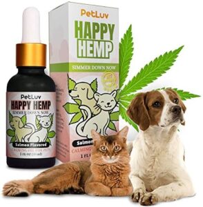 Organic Hemp Oil for Cat Seizures - 30ml