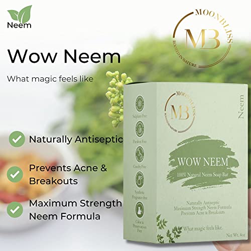 Dry Skin Acne Body Wash - Image 2