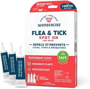 Essential Oil Repellent for Dogs to Prevent Mosquito Bites