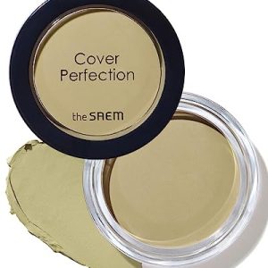 THESAEM Cover Perfection Concealer #Green Beige 9g – High Coverage Balm for Oily Skin
