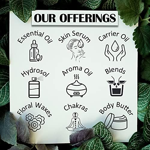 Deve Herbes 2ml Steam Distilled Pure Galangal Root Essential Oil for Aromatherapy - Image 5