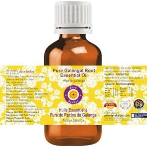 Deve Herbes 2ml Steam Distilled Pure Galangal Root Essential Oil for Aromatherapy