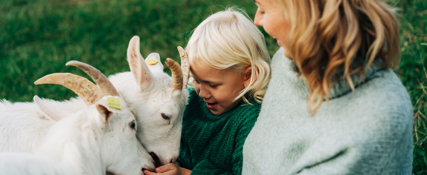 Ultra-moisturizing, Anti-aging, Antioxidant-rich, Nourishing botanicals, Vegan-friendly