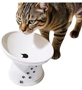 Necoichi Raised Cat Food Bowl – Ceramic Elevated 15° Tilted Cat Bowl for Whisker & Neck Fatigue, ...